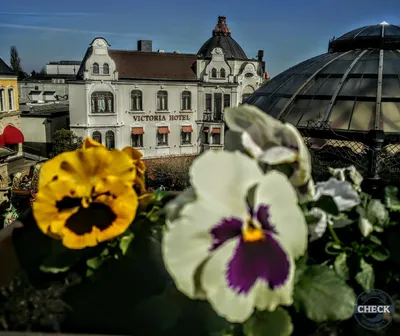 Foto aus Köln - Heinzels Wintermärchen von taron_cgn