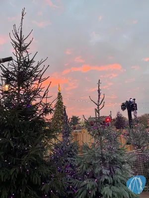 Foto aus Toverland von RollerCoasterBuhmaus