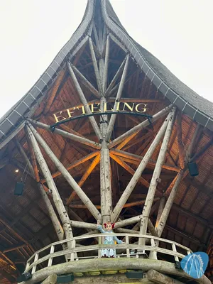 Foto aus Efteling von RollerCoasterBuhmaus
