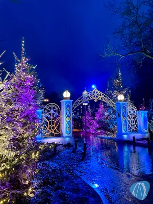 Foto aus Efteling von RollerCoasterBuhmaus