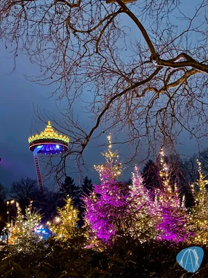 Foto aus Efteling von RollerCoasterBuhmaus