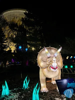 Foto aus Wunderland Kalkar von RollerCoasterBuhmaus