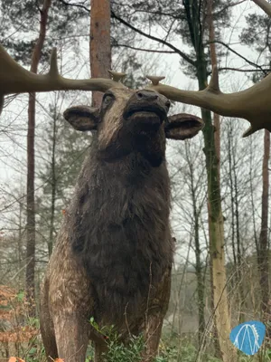 Foto aus Burgers` Zoo von Annika