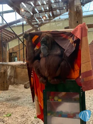 Foto aus Zoo Dortmund von Annika