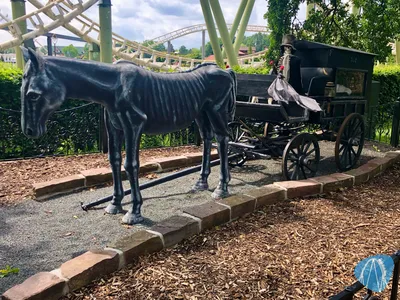 Foto aus Heide Park von bigloop