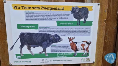 Foto aus Wildpark Schwarzach von coaster_Markus