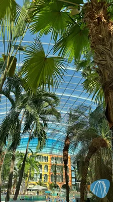 Foto aus Therme Erding von Lukas