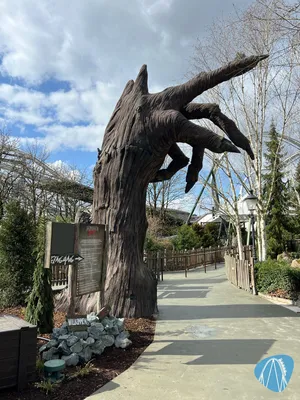 Foto aus Heide Park von Babyboomer