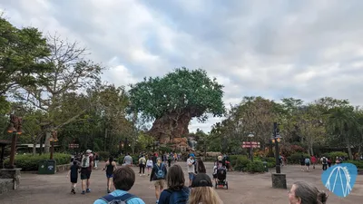 Photo from Disney's Animal Kingdom by ViernheimerBub