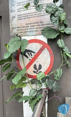 Foto aus Heide Park von Babyboomer