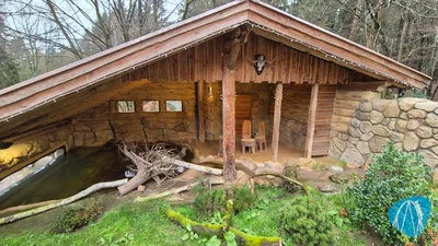 Foto aus Wildpark schwarze Berge von coaster_Markus