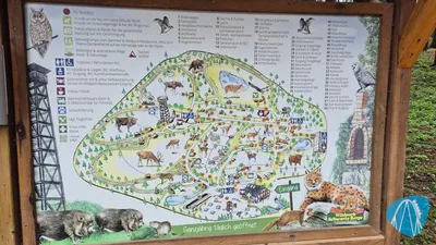 Foto aus Wildpark schwarze Berge von coaster_Markus