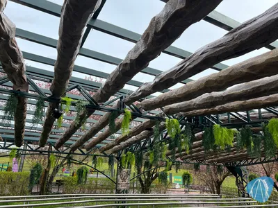 Foto aus Heide Park von Babyboomer
