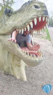 Foto aus Erse Park von ViernheimerBub