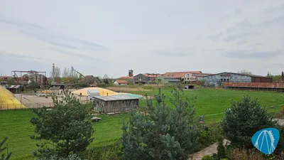 Foto aus Alles Paletti von Mukkel
