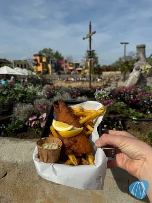 Foto aus Toverland von RollerCoasterBuhmaus