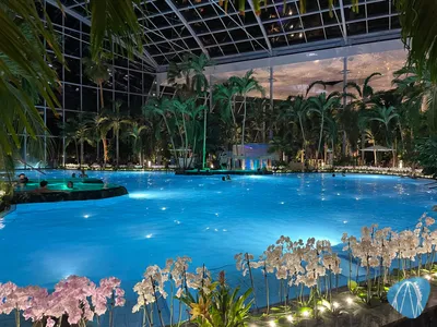 Foto aus Thermen & Badewelt Sinsheim von ahoiseemann
