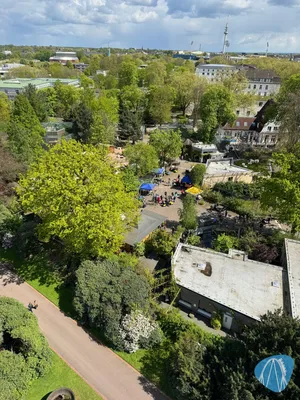 Foto aus Tierpark und Fossilium Bochum von RollerCoasterBuhmaus