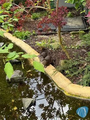 Foto aus Tierpark und Fossilium Bochum von RollerCoasterBuhmaus