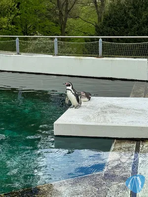 Foto aus Tierpark und Fossilium Bochum von RollerCoasterBuhmaus