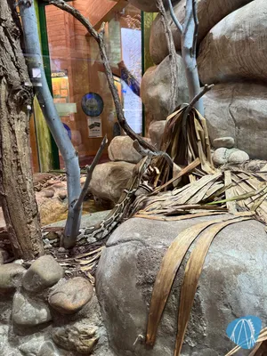 Foto aus Tierpark und Fossilium Bochum von RollerCoasterBuhmaus