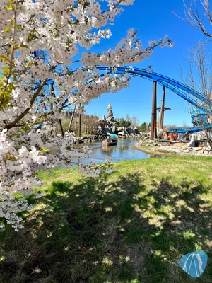 Foto aus Toverland von tohe19811