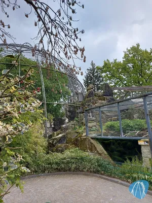Foto aus Zoo Dresden von Chris92