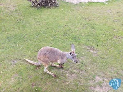 Foto aus Zoo Dresden von Chris92