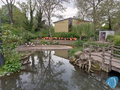 Foto aus Zoo Dresden von Chris92