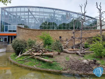 Foto aus Zoo Dresden von Chris92