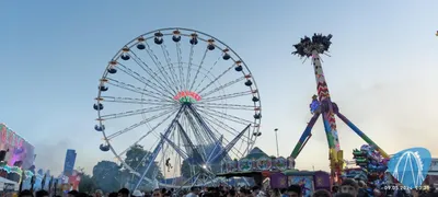 Foto aus Sinsheim - Fohlenmarkt von Jan