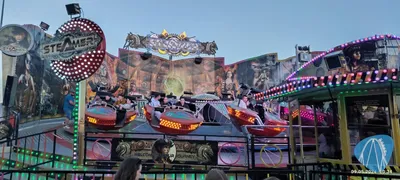 Foto aus Sinsheim - Fohlenmarkt von Jan