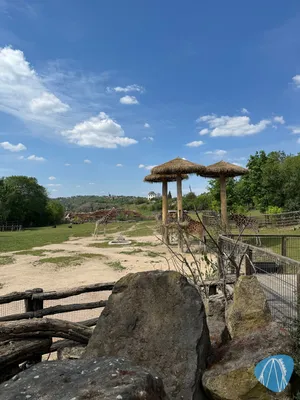 Foto aus Prague Zoo von RollerCoasterBuhmaus