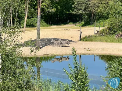Foto aus Burgers` Zoo von Highnoon