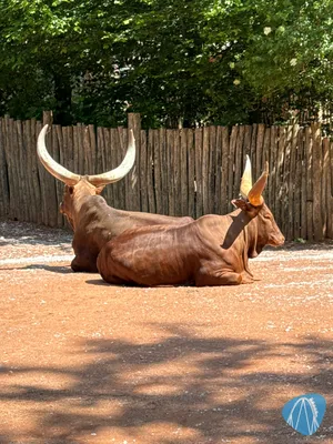 Foto aus ZOOM Erlebniswelt von Soeren92