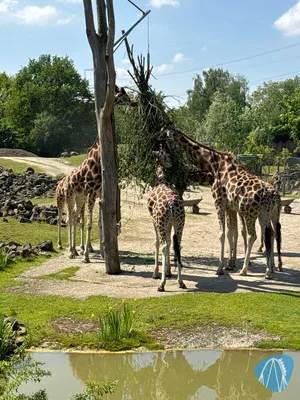 Foto aus ZOOM Erlebniswelt von Soeren92