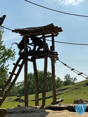 Foto aus ZOOM Erlebniswelt von Soeren92
