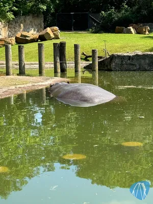 Foto aus ZOOM Erlebniswelt von Soeren92