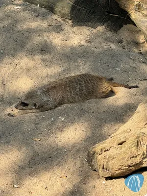 Foto aus ZOOM Erlebniswelt von Soeren92