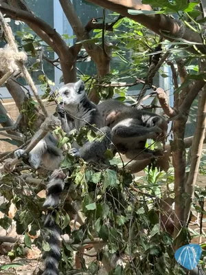 Foto aus ZOOM Erlebniswelt von Soeren92