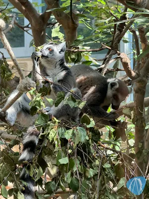 Foto aus ZOOM Erlebniswelt von Soeren92