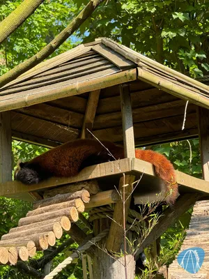 Foto aus ZOOM Erlebniswelt von Soeren92