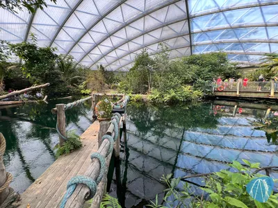 Foto aus Burgers` Zoo von Highnoon