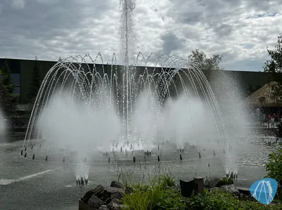 Foto aus Toverland von Sabi