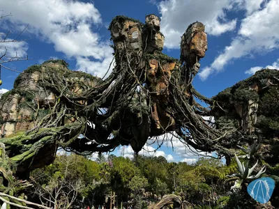 Photo from Disney's Animal Kingdom by derzornigezorn