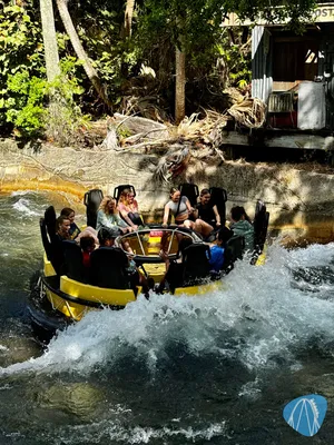 Foto aus Busch Gardens Tampa Bay von derzornigezorn