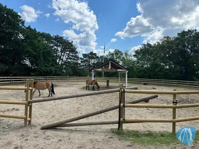 Foto aus Barnens zoo von RollerCoasterBuhmaus