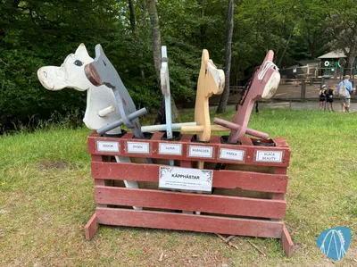 Foto aus Barnens zoo von RollerCoasterBuhmaus