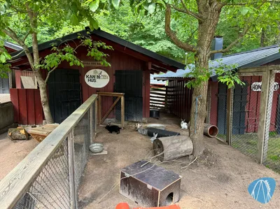 Foto aus Barnens zoo von RollerCoasterBuhmaus