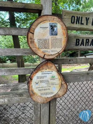 Foto aus Barnens zoo von RollerCoasterBuhmaus